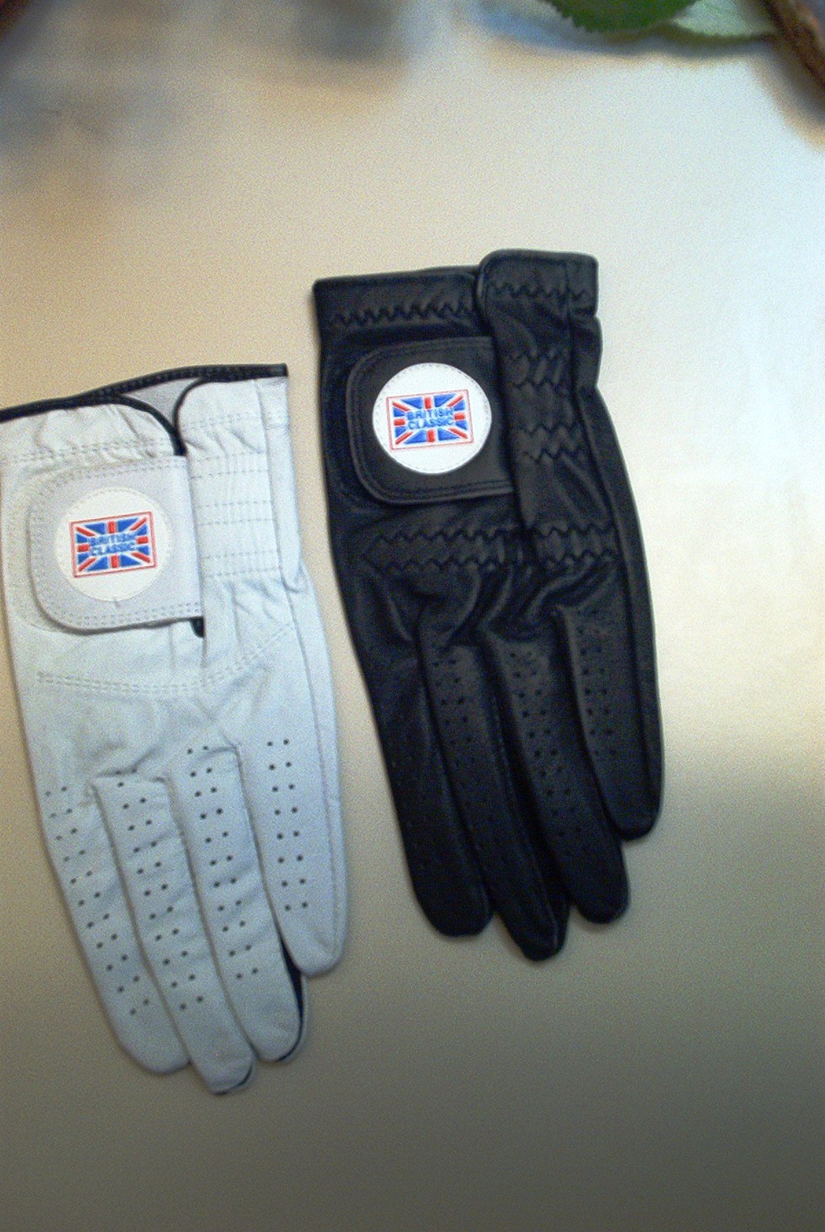 Click to View Larger Image