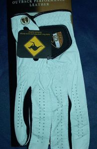 Click for Larger Image