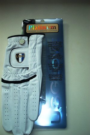 Click for Larger Image