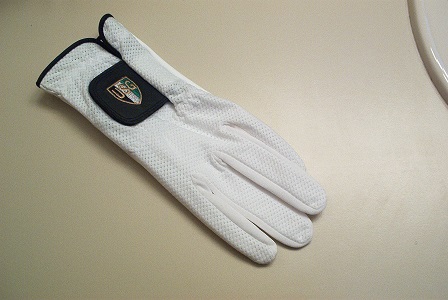 Click for Larger Image