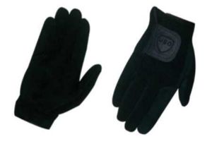 Click for Larger Image