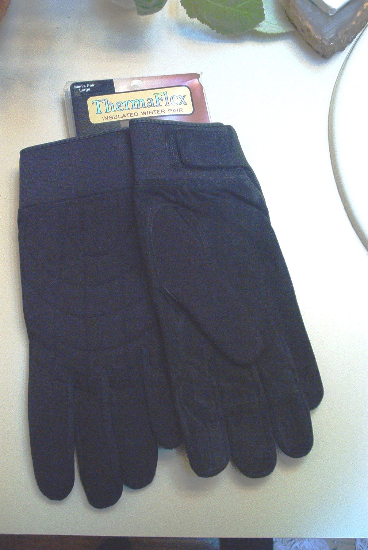 Click for Larger Image